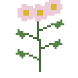 ハルジオン